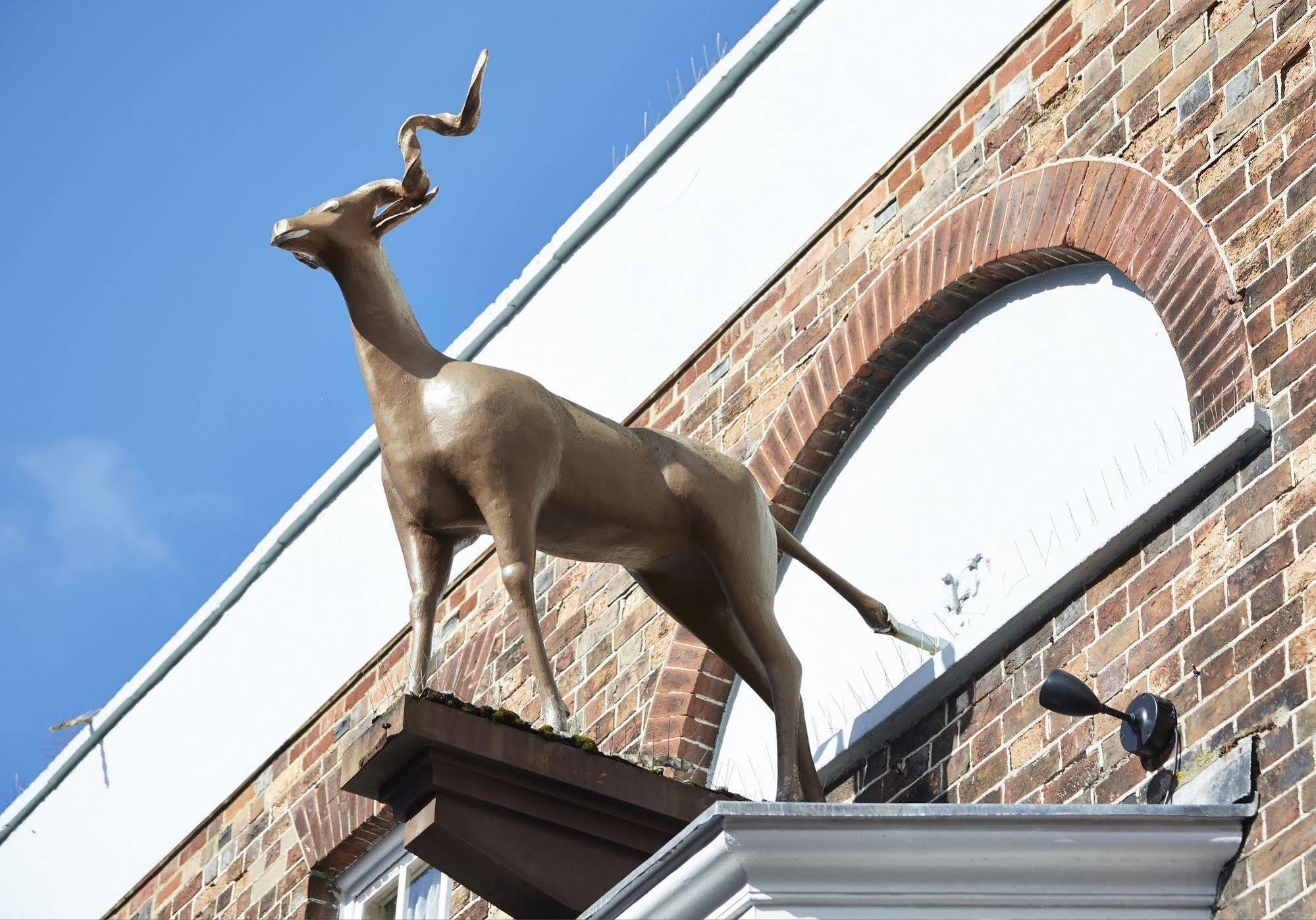 Antelope By Greene King Inns プール エクステリア 写真